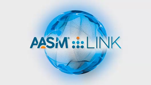 Factors that affect how much is a Blue Link subscription